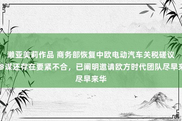 濑亚美莉作品 商务部恢复中欧电动汽车关税磋议：参谋还存在要紧不合，已阐明邀请欧方时代团队尽早来华