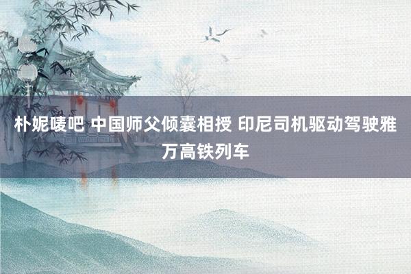 朴妮唛吧 中国师父倾囊相授 印尼司机驱动驾驶雅万高铁列车