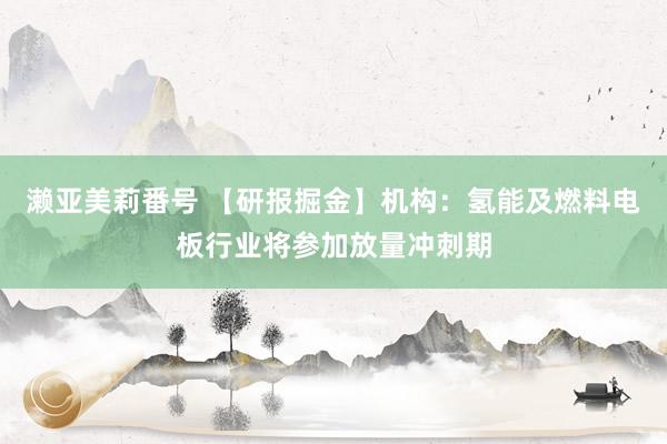 濑亚美莉番号 【研报掘金】机构：氢能及燃料电板行业将参加放量冲刺期