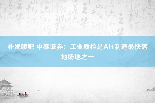 朴妮唛吧 中泰证券：工业质检是AI+制造最快落地场地之一