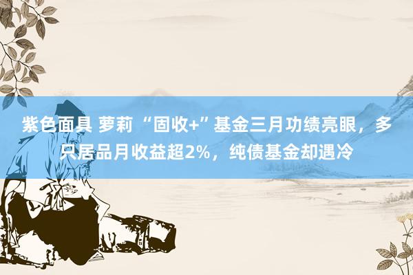 紫色面具 萝莉 “固收+”基金三月功绩亮眼，多只居品月收益超2%，纯债基金却遇冷